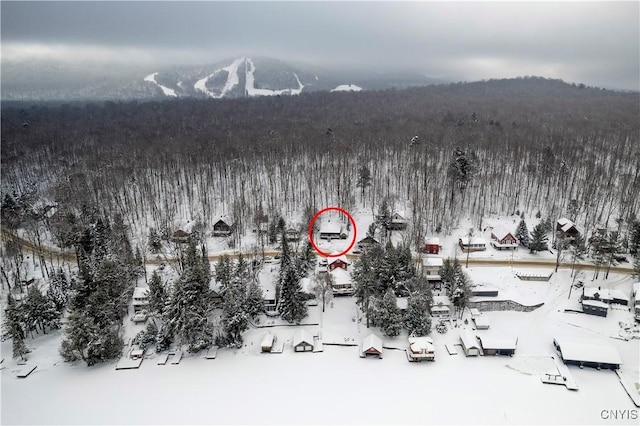 156 S Shore Rd, Webb, NY 13420 - snowy aerial view featuring a mountain view and a forest view