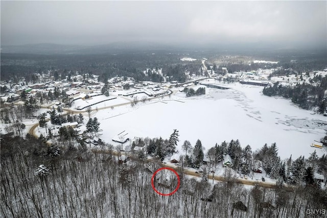 156 S Shore Rd, Webb, NY 13420 - view of snowy aerial view
