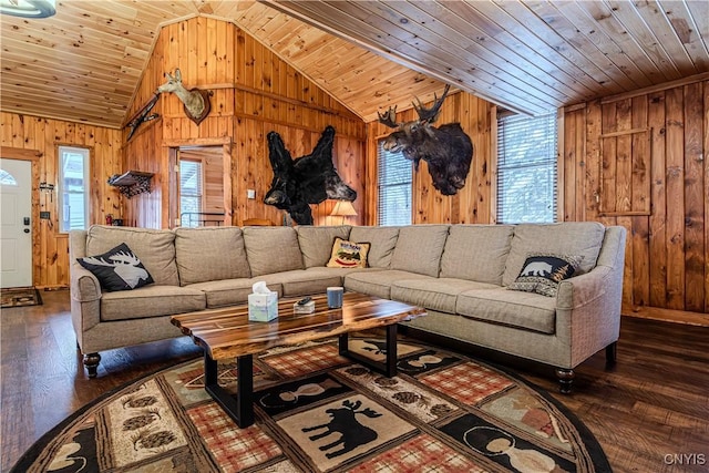 living room with lofted ceiling, wooden ceiling, dark hardwood / wood-style floors, and wood walls