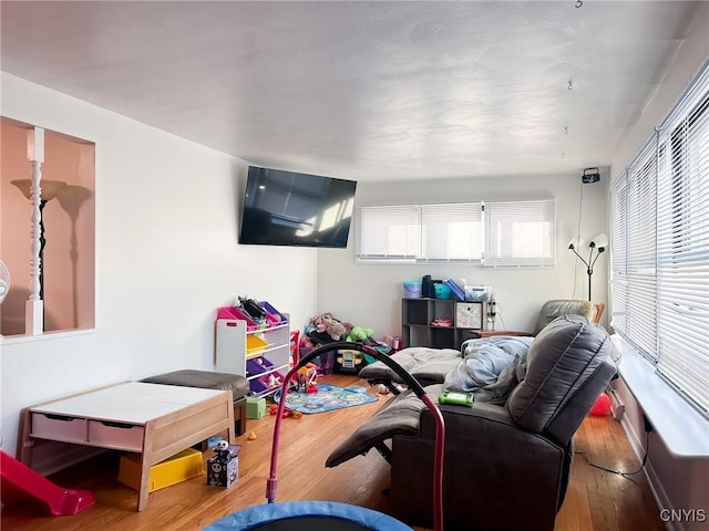 living area featuring wood finished floors