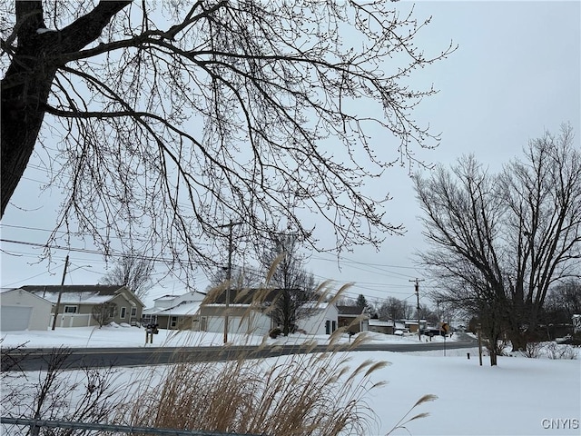 view of yard covered in snow