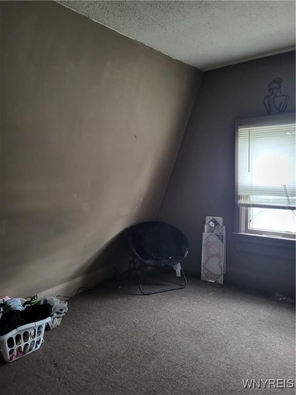 additional living space featuring a textured ceiling, carpet floors, and vaulted ceiling