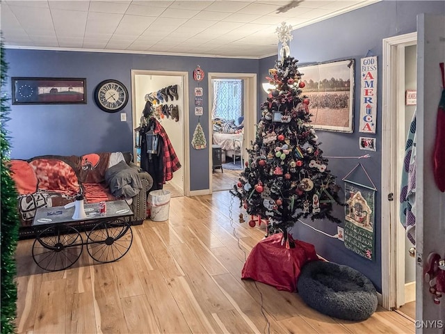 interior space featuring crown molding and light hardwood / wood-style floors