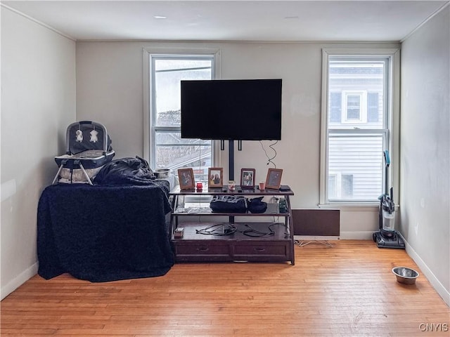 living room featuring light wood-type flooring