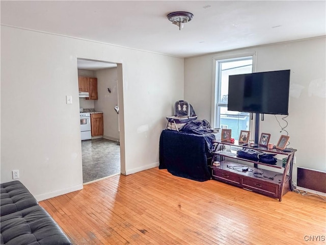 living room featuring light wood-type flooring