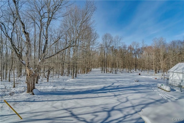 view of snowy yard