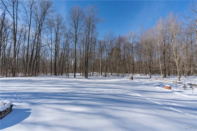 view of snowy yard