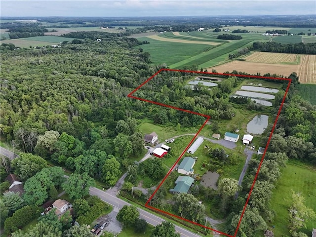 3581 Swamp Rd, Hopewell NY, 14424 land for sale