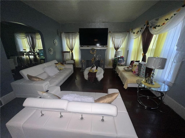 living room featuring wood-type flooring