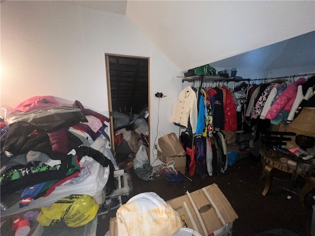 spacious closet with lofted ceiling