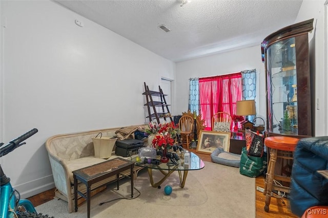 sitting room featuring wood-type flooring and a textured ceiling