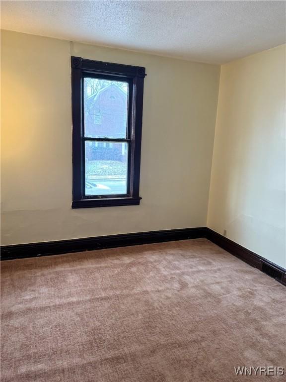 empty room featuring carpet flooring and a textured ceiling