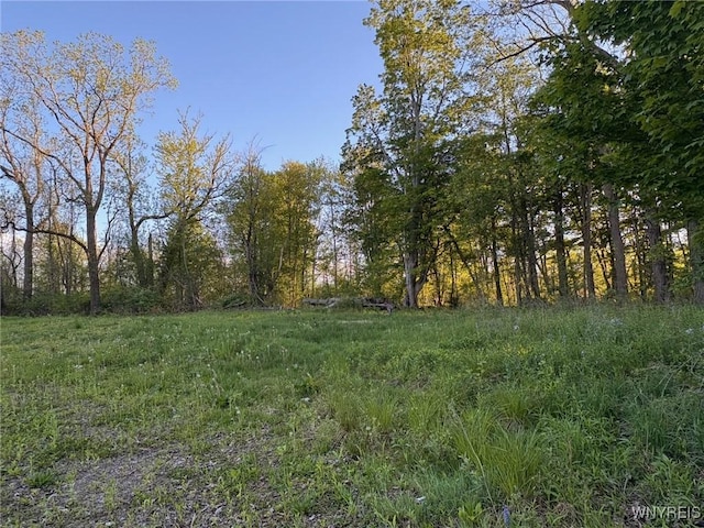 1441 Sturgeon Point Rd, Evans, NY 14047 - photo 1