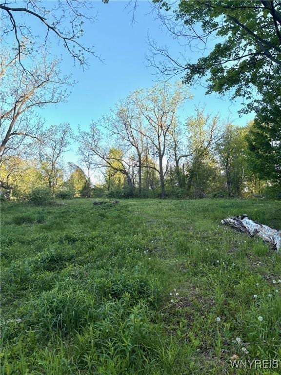 1441 Sturgeon Point Rd, Evans, NY 14047 - photo 2