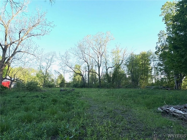 1441 Sturgeon Point Rd, Evans, NY 14047 - photo 3