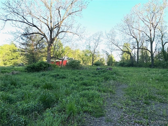 1441 Sturgeon Point Rd, Evans, NY 14047 - photo 4