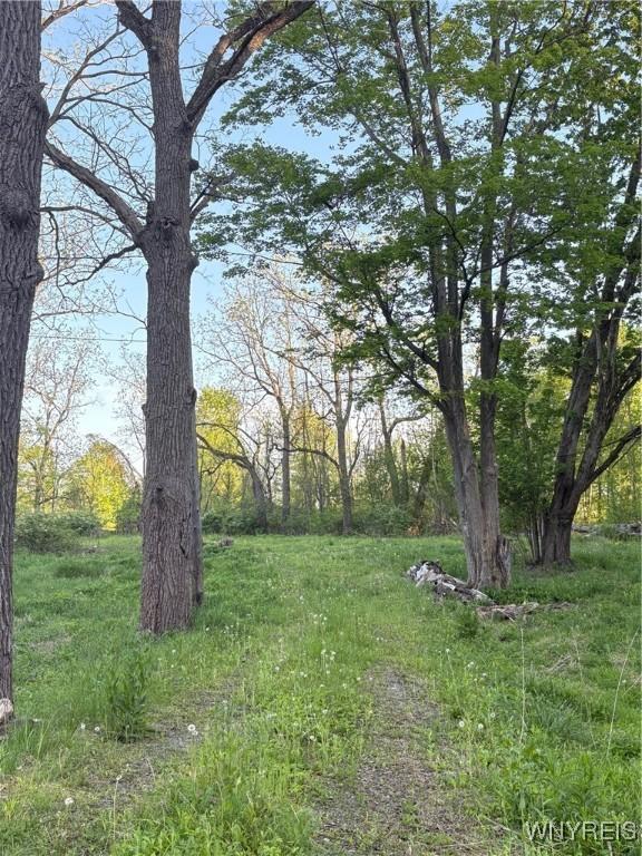 1441 Sturgeon Point Rd, Evans, NY 14047 - photo 5