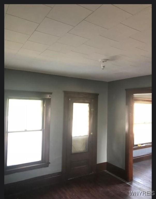 entrance foyer featuring a healthy amount of sunlight and dark wood-type flooring