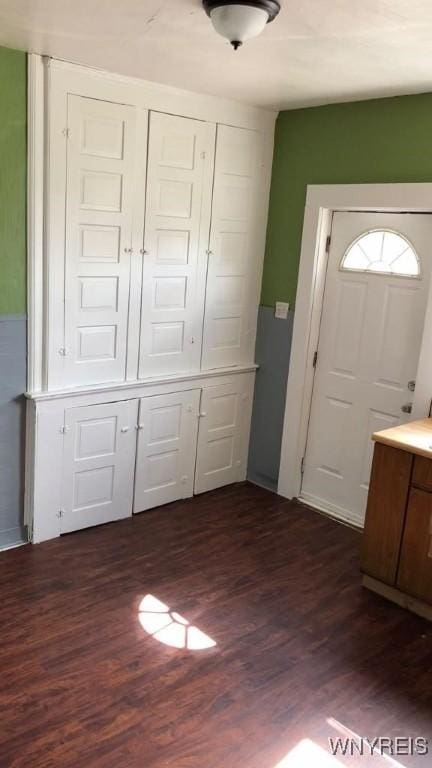 foyer entrance featuring dark hardwood / wood-style floors