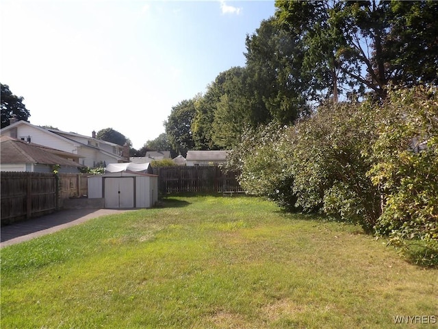 view of yard with a shed