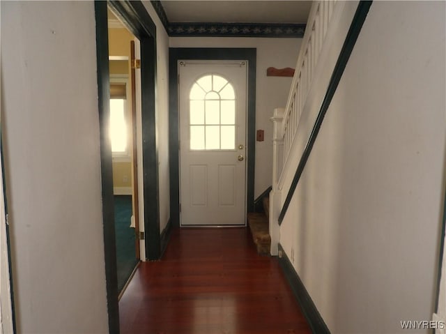 entryway featuring dark wood-type flooring