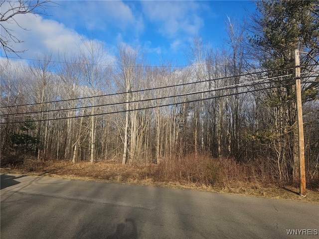 Kennedy Ave, Evans NY, 14006 land for sale