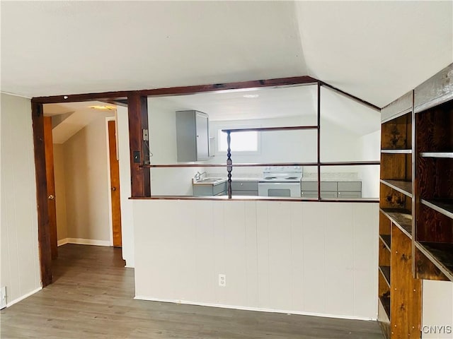 spare room featuring wood-type flooring and vaulted ceiling