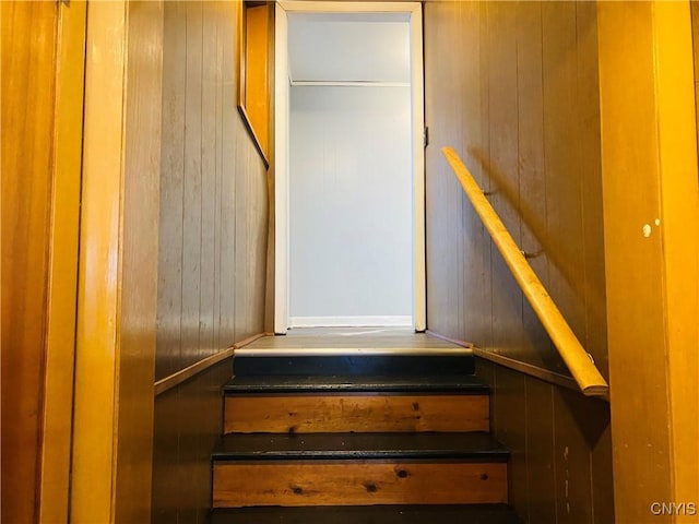 stairs featuring wood walls