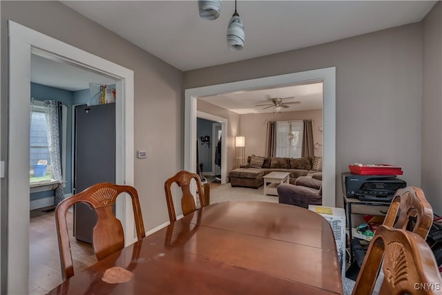 dining room with ceiling fan and light hardwood / wood-style floors