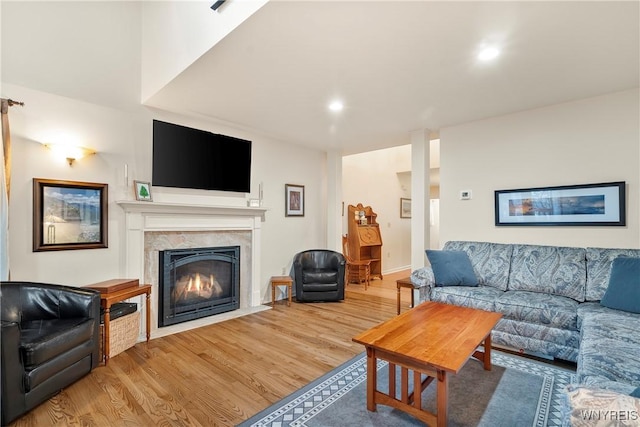 living room featuring wood-type flooring