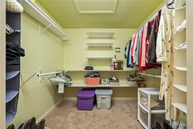 spacious closet featuring light carpet