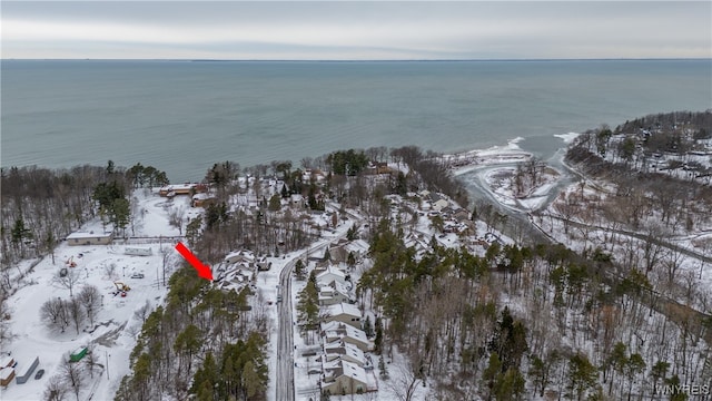 snowy aerial view with a water view