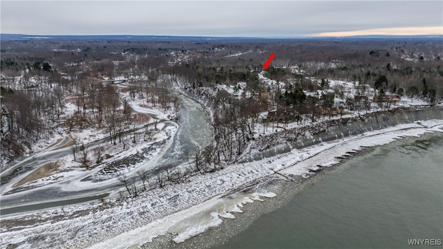 snowy aerial view with a water view