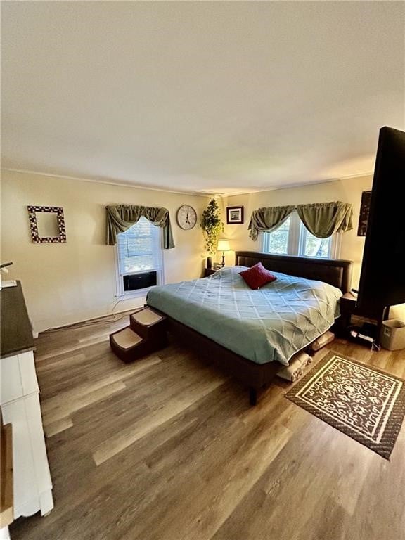 bedroom featuring wood-type flooring and multiple windows