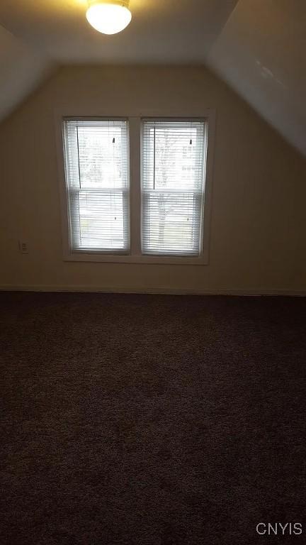 additional living space with lofted ceiling