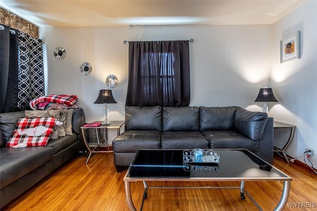 living room with hardwood / wood-style floors