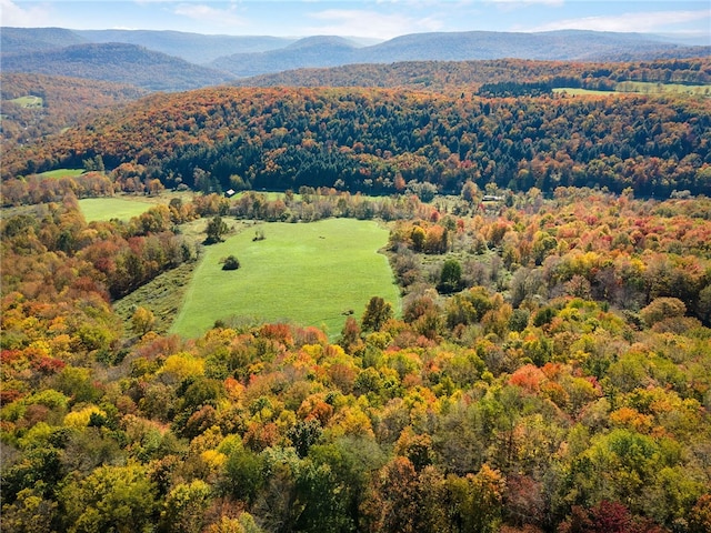 drone / aerial view with a mountain view