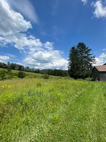 view of local wilderness featuring a rural view