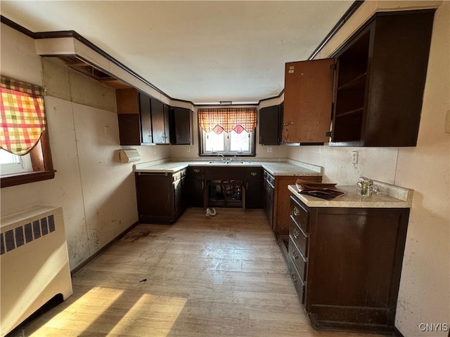 kitchen with radiator, dark brown cabinetry, and light hardwood / wood-style flooring