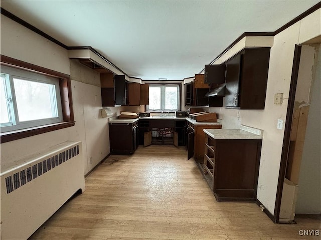 kitchen with radiator, ventilation hood, crown molding, light wood-type flooring, and dark brown cabinets