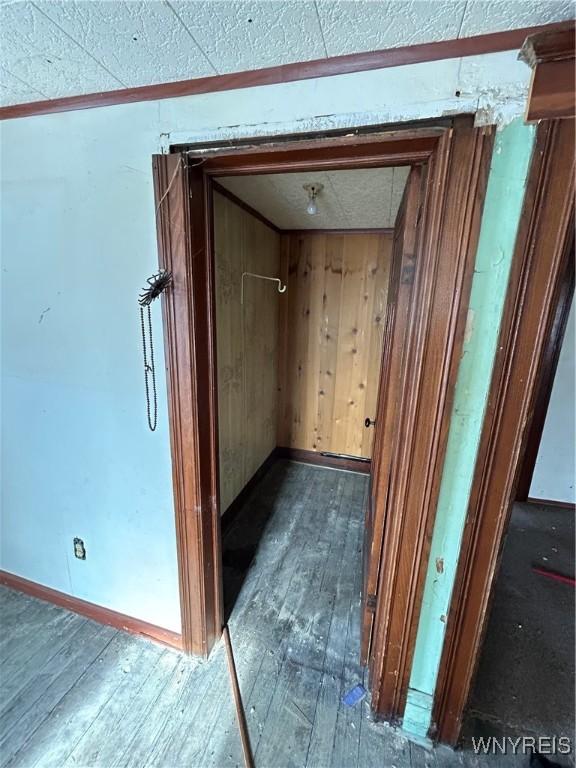 hall with dark hardwood / wood-style floors and wood walls