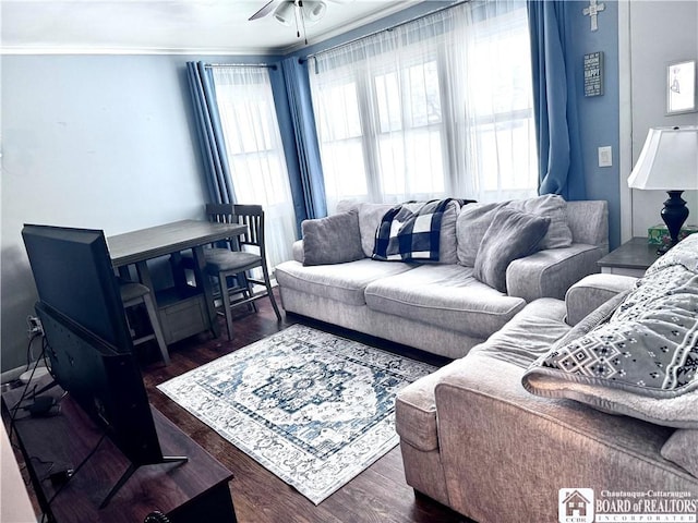 living room featuring ceiling fan, dark hardwood / wood-style floors, and ornamental molding