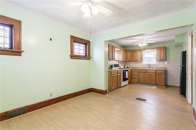 kitchen with sink, light hardwood / wood-style flooring, white range, crown molding, and refrigerator