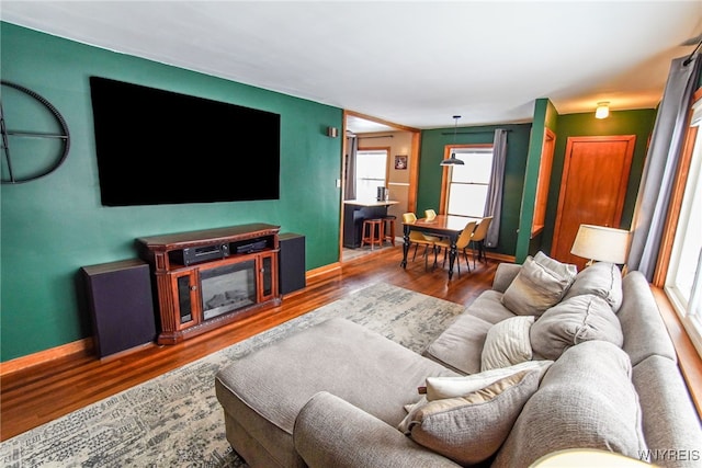 living room featuring wood-type flooring