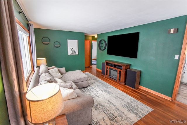 living room with wood-type flooring