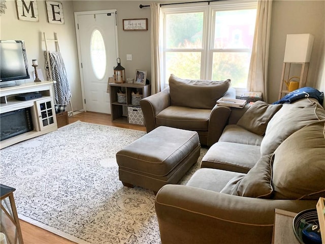 living room featuring light hardwood / wood-style floors