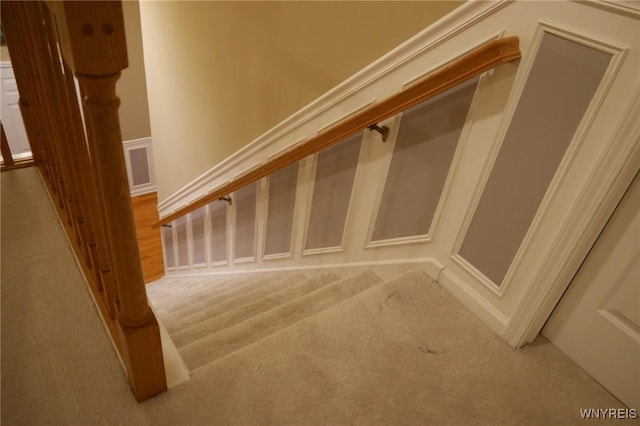 staircase with carpet floors