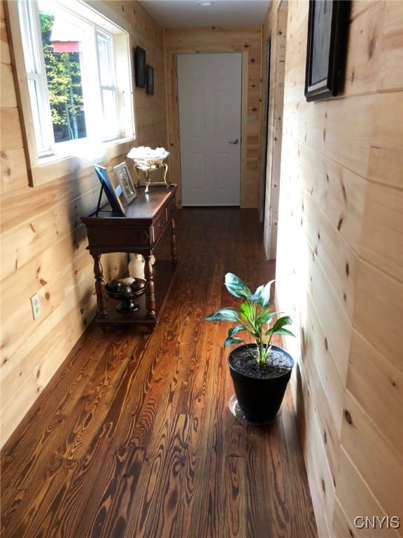 hall with wood walls and dark hardwood / wood-style flooring