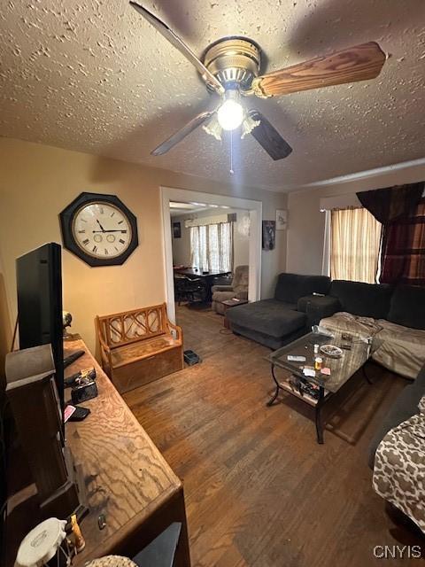 living room with wood-type flooring, a textured ceiling, and ceiling fan