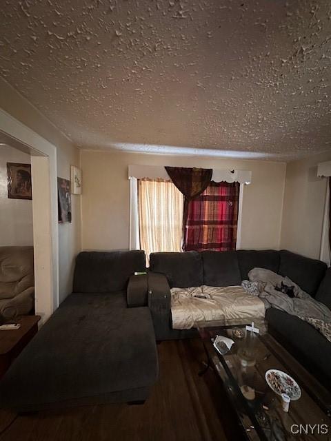 living room with wood-type flooring and a textured ceiling